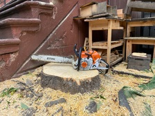 Power Tree Removal, LLC logo