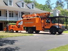 Avatar for AG Tree Service