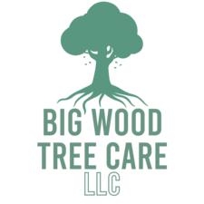 Avatar for Big Wood Tree Care