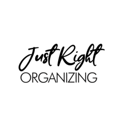 JUST RIGHT ORGANIZING LLC logo