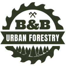 Avatar for B&B Urban Forestry, Inc.