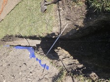 Avatar for Excavaciones Martinez