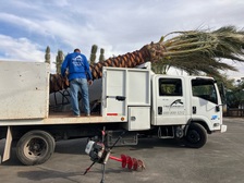 Avatar for V Soto's Landscape LLC
