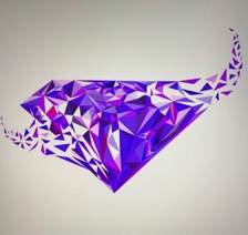 Diamond Finish logo