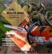 Avatar for Beaver Bros