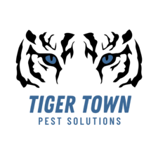 Avatar for Tiger Town Pest Solutions