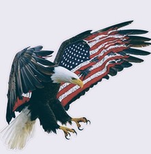 Avatar for GutterGlory, LLC