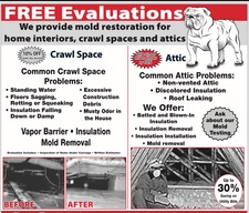 Avatar for All South Cleaning & Restoration