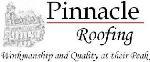 Pinnacle Enterprises logo