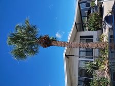 Avatar for Peace of Mind Tree Service Enterprise, LLC