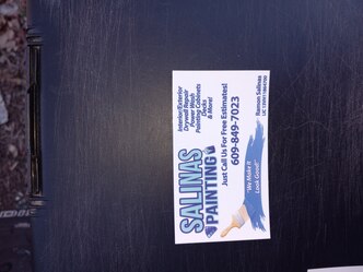 Salinas Painting LLC logo