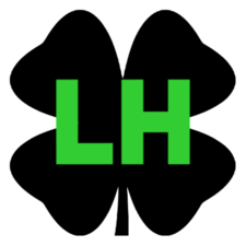 Logo for Lucky Home Solutions LLC
