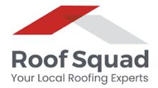 Avatar for Roof Squad
