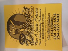 E & E DeLeon Tree Service logo