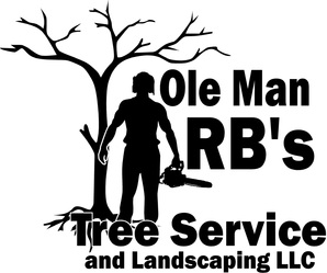 Ole Man RB's, LLC logo