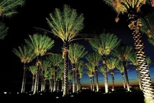 AAG Landscape Design & Install logo