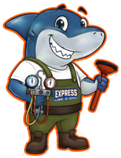 Avatar for Express Plumbing Service
