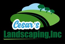 Avatar for Cesar's Lawn & Landscaping