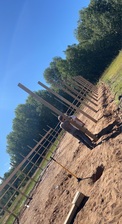 Avatar for Expert Tree and Builder Service