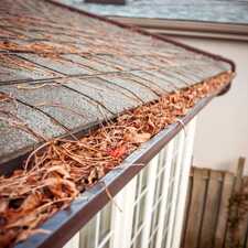 Avatar for CNY Gutter Cleaning and More