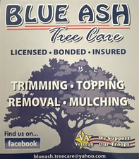 Logo for Blue Ash Tree Care