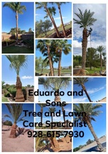 Avatar for Eduardo & Sons Tree Experts