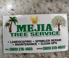 Mejia Tree Service - Unlicensed Contractor logo