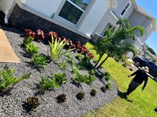 Avatar for Bloom Landscape