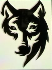 Avatar for Lone Wolf's Building & Remodel LLC
