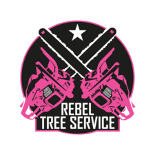 Avatar for Project Solutions