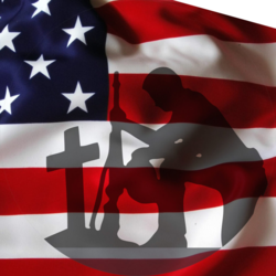 Freedom Roll Off Service, LLC logo