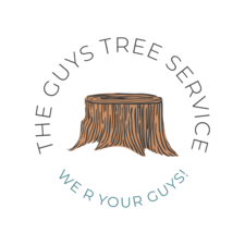 Avatar for The Guys Tree Service