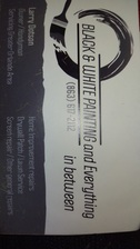 Logo for Black N White Painting