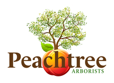 Logo for Peachtree Arborists