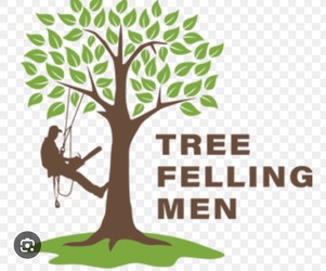 Tree Felling logo