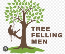 Avatar for Tree Felling