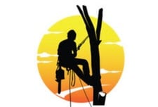 Avatar for Tree Felling