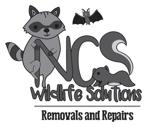 NCS Wildlife Solutions logo