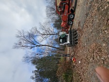 Logo for Los Romero's Tree Service