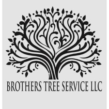 Logo for Brothers Tree Service LLC