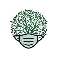 Avatar for Midwest Tree Surgeons LLC