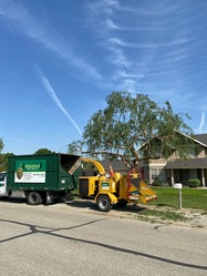 Sequoias Tree Service logo