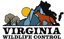 Logo for Virginia Wild Life Control