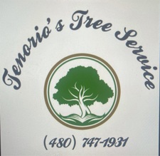 Avatar for Tenorios Tree Service, LLC