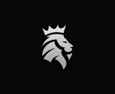 Lion Renovation LLC logo