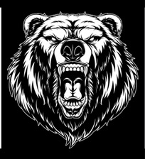 Avatar for Brown Bear Builders