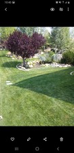 Avatar for Munoz Landscaping, LLC