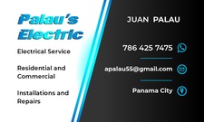 Logo for Palau's Electric