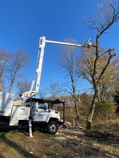 Avatar for MCS Tree Service
