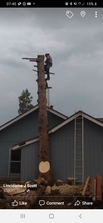 Avatar for Joseph's Tree Service